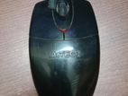 Mouse for sell