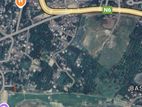 আবাসিক প্লট