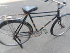 Bicycle for sell