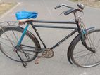 Phonix Bicycle for sell.