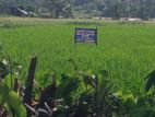 Land for sell