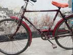 Bicycle for sell