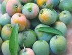 Mango for sell