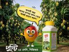 আম গাছের হরমোন পুষ্টি