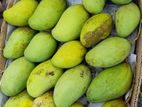 mango for sell