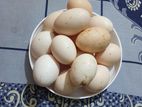অরজিনাল ব্রাহামা মুরগী বিজ ডিম