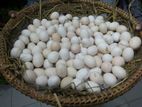 দেশি মুরগী ডিম
