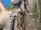 Bicycle for sell