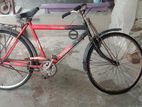 cycles for sell