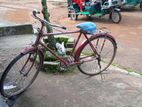 Bicycle for sell