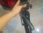 Camera stand
