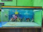Aamra A3 একুরিয়াম (Used)