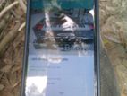 Walton primo rx8 (Used)