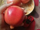 আনার /pomegranate