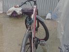 Bicycle for sell