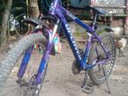 Cycle for sell