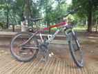 Bicycle for sell