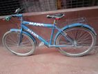 Bicycle for sell