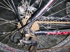 Phoenix Bicycle for sale