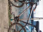 Bicycle for sell