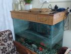 Aquarium with fish & wardrobe for sale