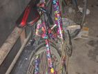 Bicycle for sell