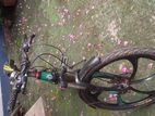 Phoenix Bicycle for sale