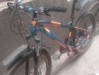 phoenix bicycle for sale