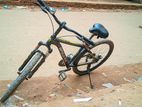 Bicycle for Sell