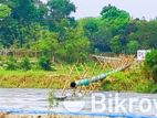 আস্থা এবং বিশ্বাসে বিনিয়োগ করুন মধু সিটিতে