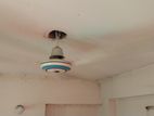 ABC 56" celling fan