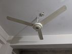 ABC fan