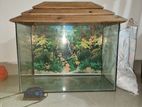 Aquarium sell