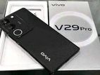 Vivo v29 pro (New)