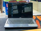 Acer Leptob
