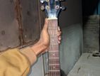 Acostica 7519 Ts Guitar