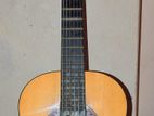 acoustic classical guitar