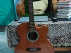 Acoustic Guitar