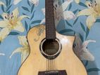 acoustic guitar (deviser l-620)