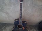 Acoustic Guitar