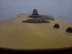 Acoustic guitar