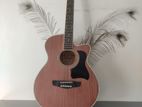 Acoustic Guitar