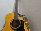 Acoustic Guitar