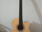 Acoustic Guitar