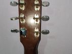 Acoustic Guitar