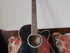 Acoustic Guitar