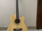 Acoustic Guitar