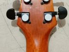 Acoustic guitar for sale (giulia gag-84