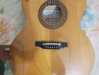 Acoustic Guitar