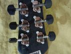 Acoustic Guitar